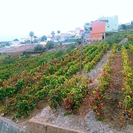 Ferienhaus Live La Victoria Carril - Casa Acogedora Y Familiar Con Terraza Completa La Victoria de Acentejo