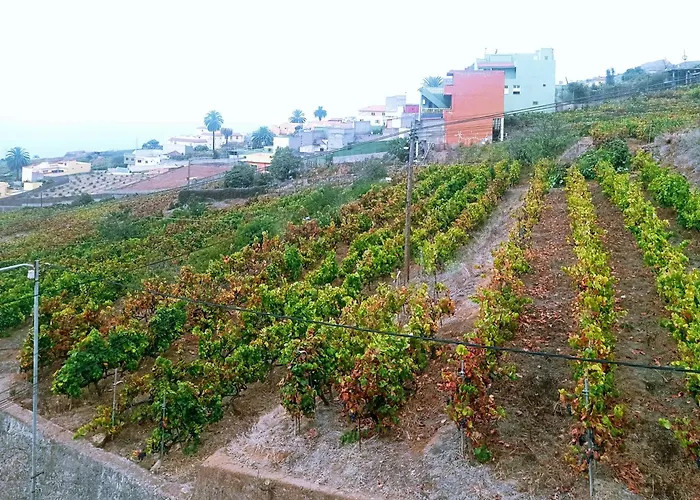Ferienhaus Live La Victoria Carril - Casa Acogedora Y Familiar Con Terraza Completa La Victoria de Acentejo
